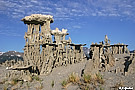 Graceful Sand Tufas